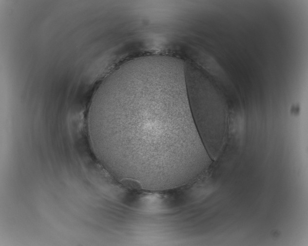 X0000113630611200910091557