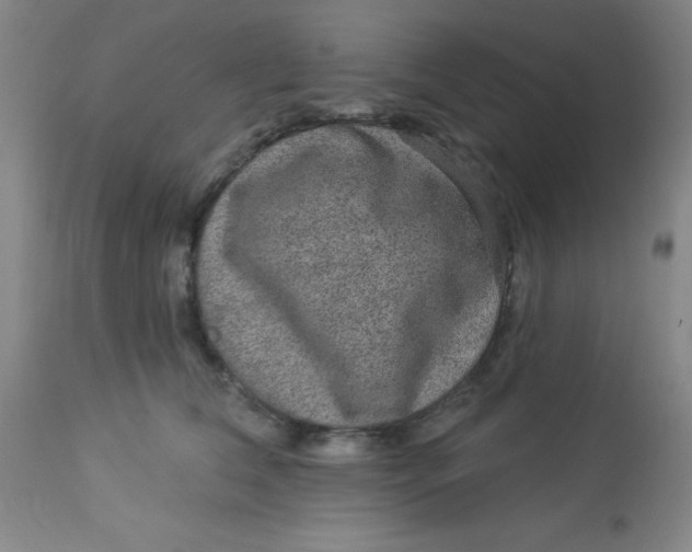 X0000113630612200910091557