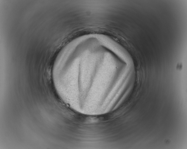 X0000113630613200910091557