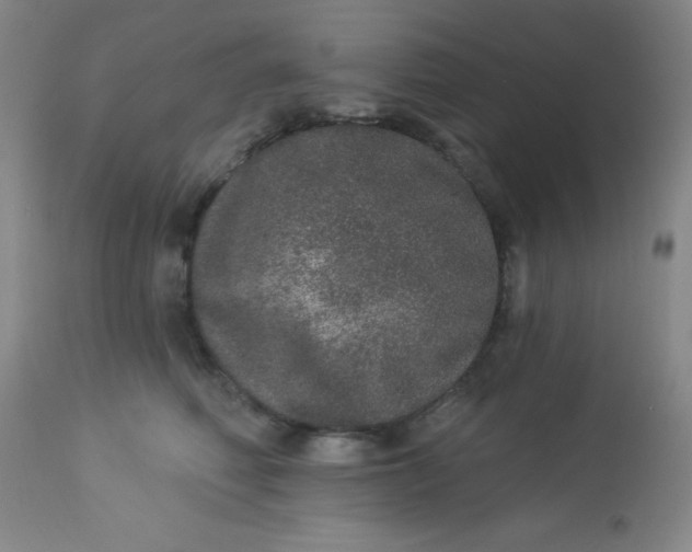 X0000113630614200910091557