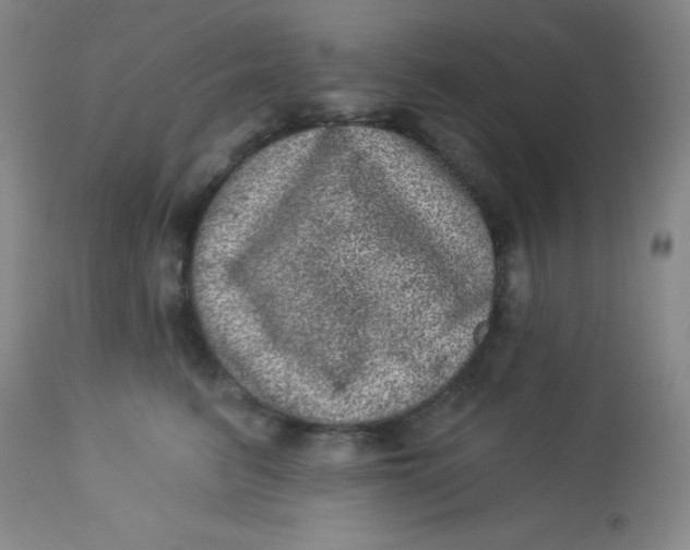 X0000113630615200910091557