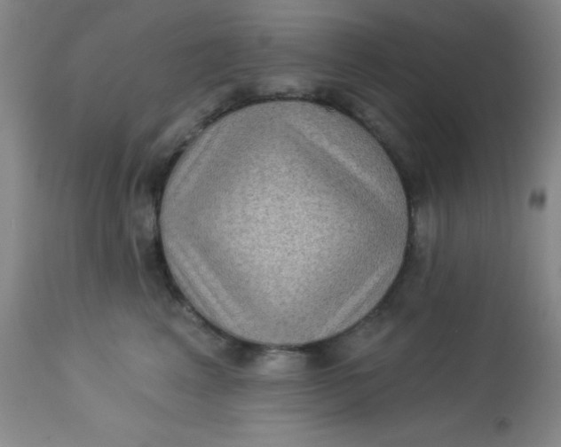 X0000113630617200910091557