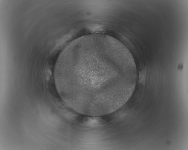 X0000113630618200910091557