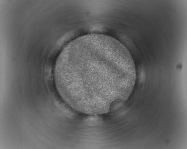 X0000113630619200910091557