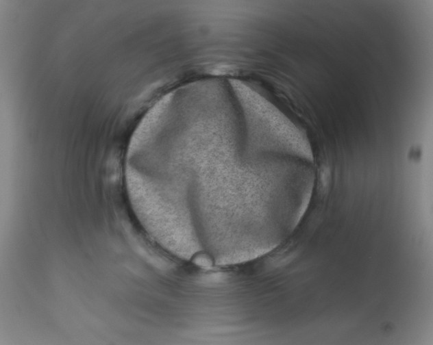 X0000113630620200910091557