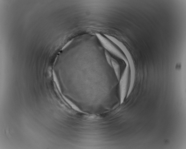 X0000113630621200910091557