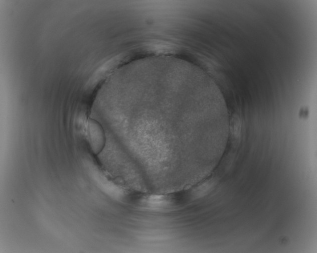 X0000113630622200910091557