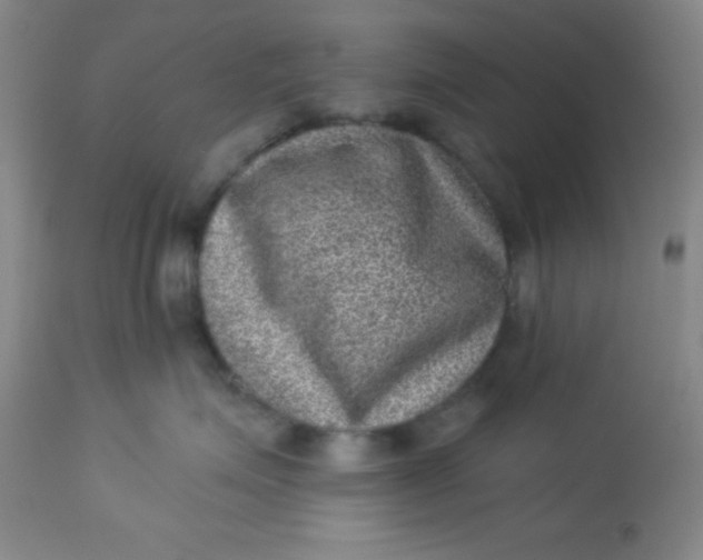 X0000113630623200910091557