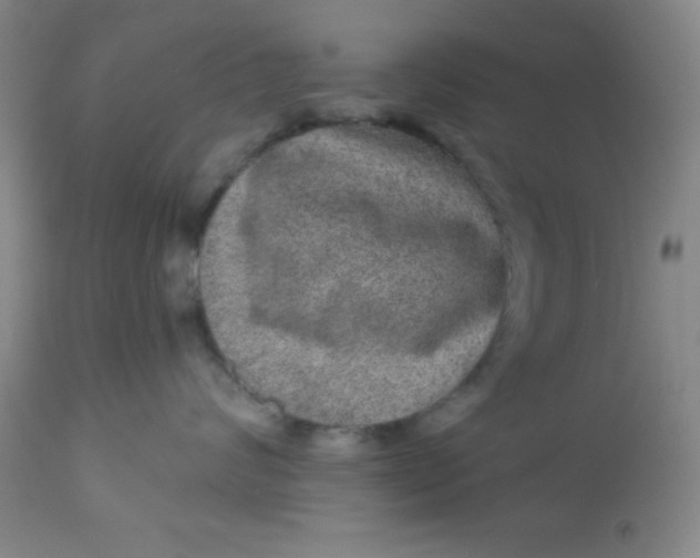 X0000113630624200910091557