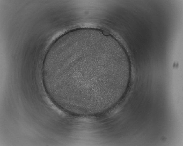 X0000113630625200910091556