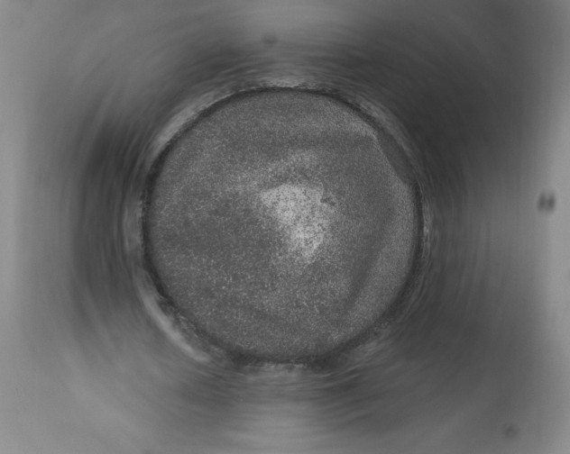 X0000113630626200910091556