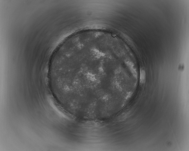 X0000113630627200910091556