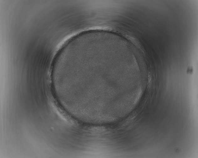 X0000113630628200910091556