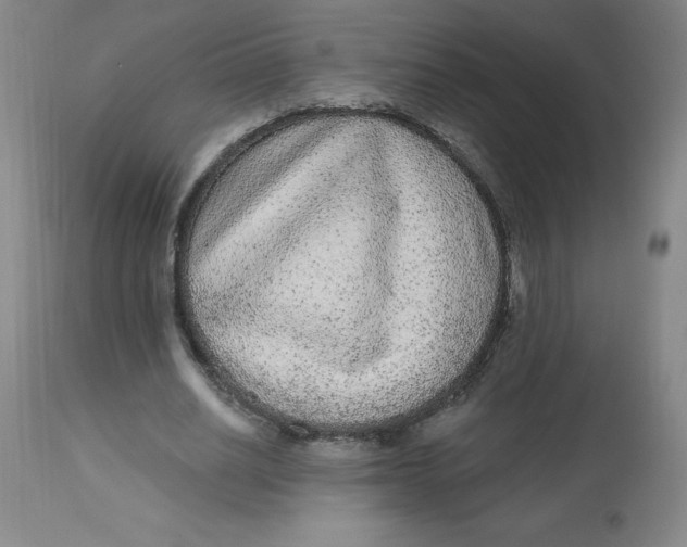 X0000113630630200910091556