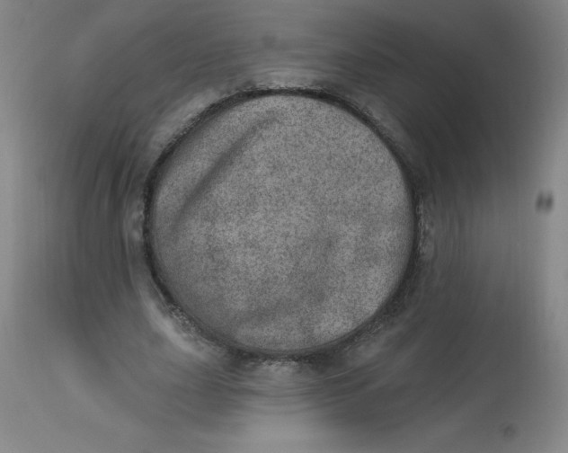 X0000113630631200910091557