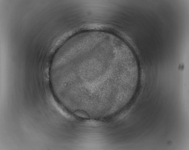 X0000113630633200910091557