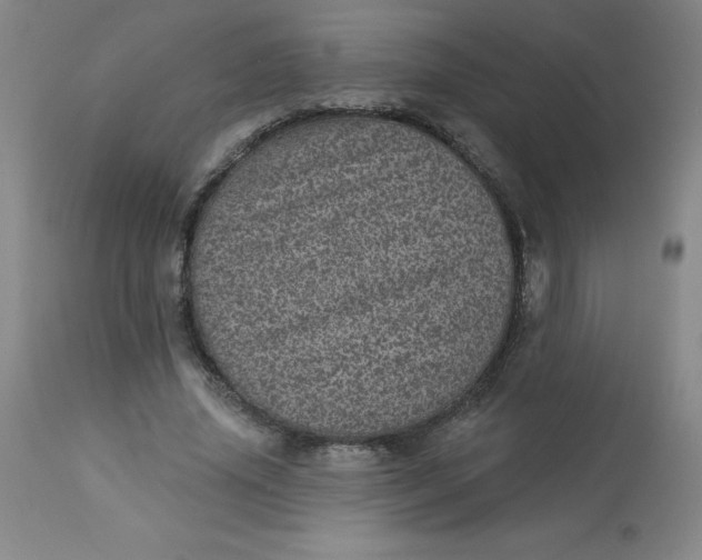 X0000113630636200910091557