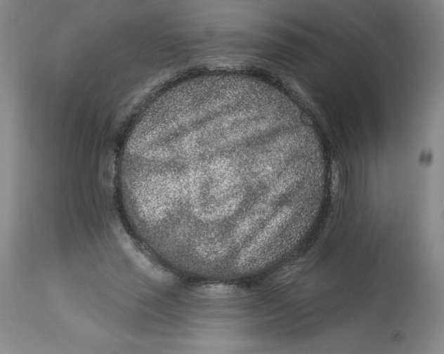 X0000113630637200910091557