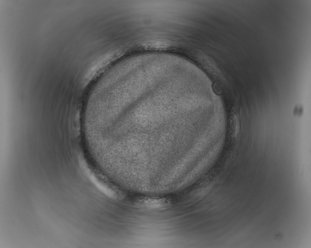 X0000113630638200910091557