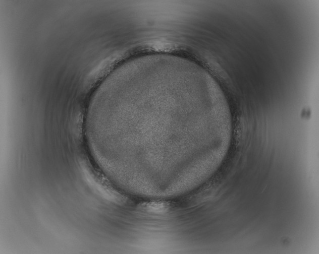 X0000113630639200910091557