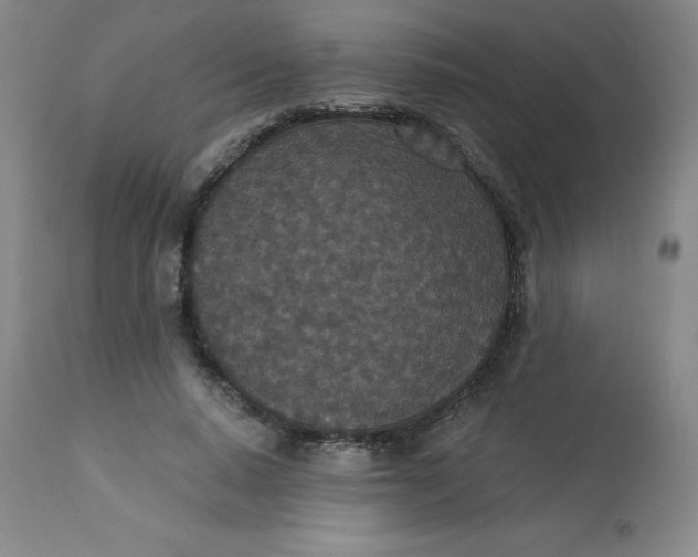 X0000113630640200910091557