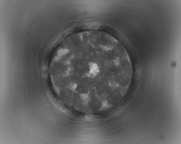 X0000113630641200910091557