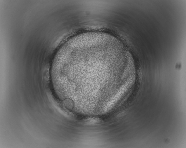 X0000113630642200910091557