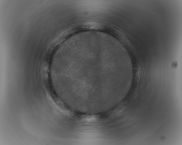 X0000113630643200910091557