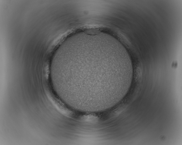 X0000113630644200910091557