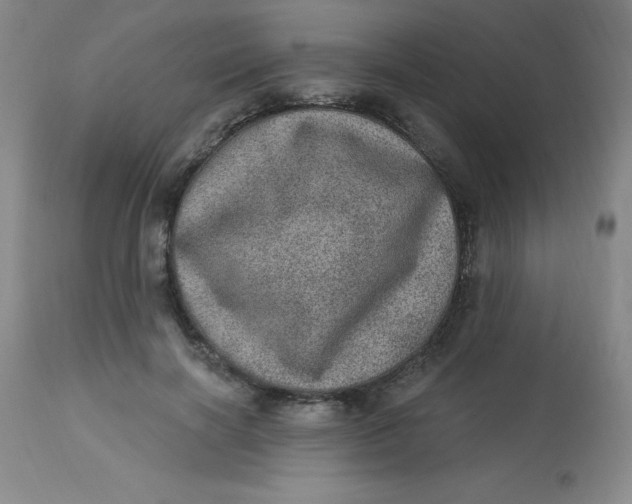 X0000113630646200910091557