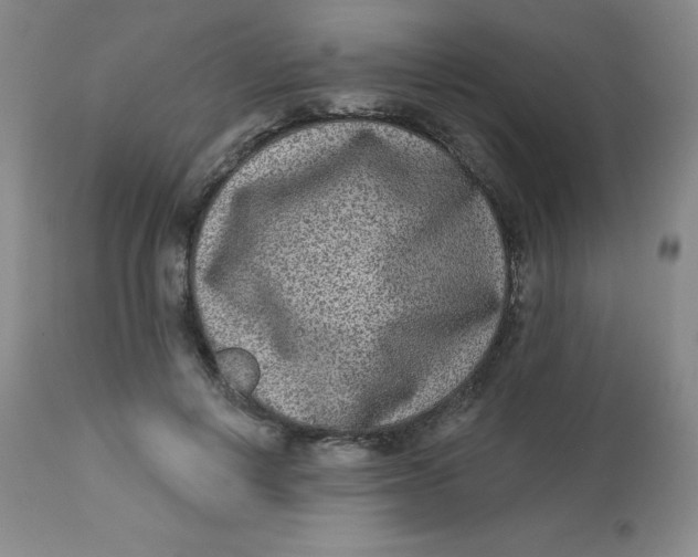 X0000113630648200910091557