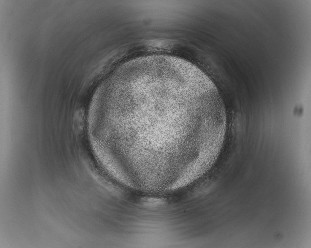 X0000113630649200910091557