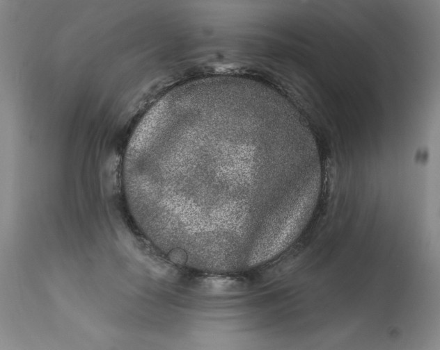 X0000113630650200910091557