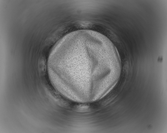 X0000113630651200910091557