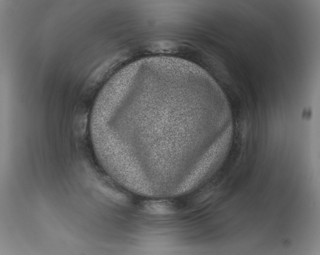 X0000113630652200910091557