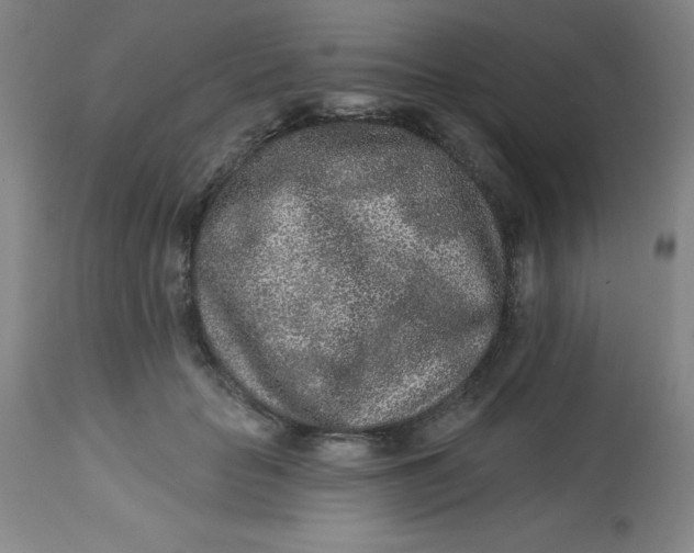 X0000113630653200910091557