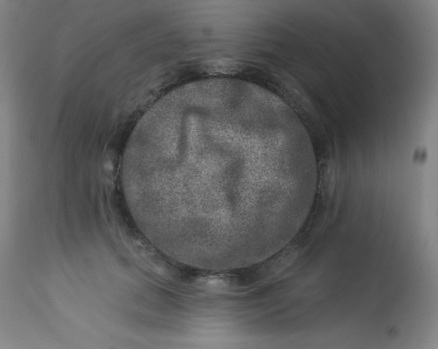 X0000113630655200910091557