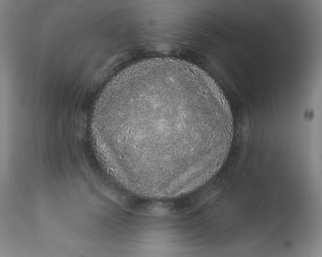 X0000113630656200910091557