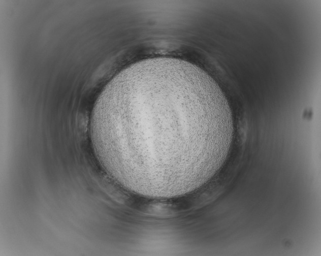 X0000113630657200910091557