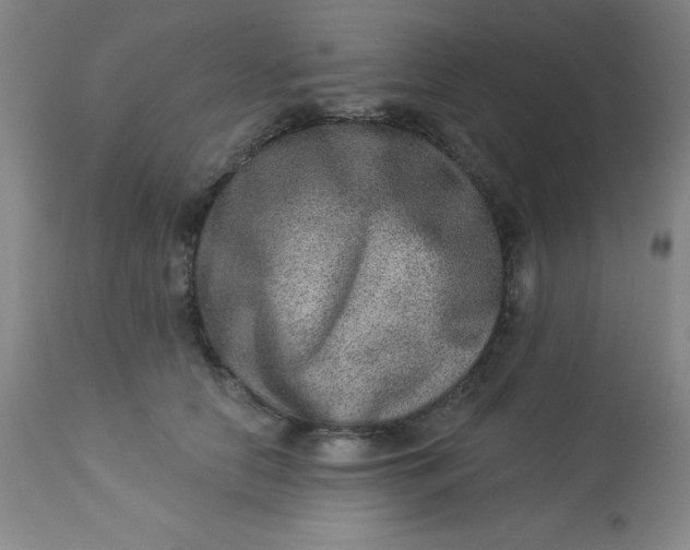 X0000113630658200910091557