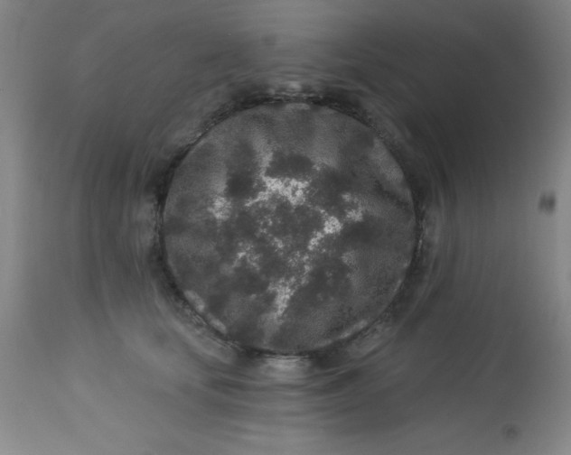 X0000113630659200910091557