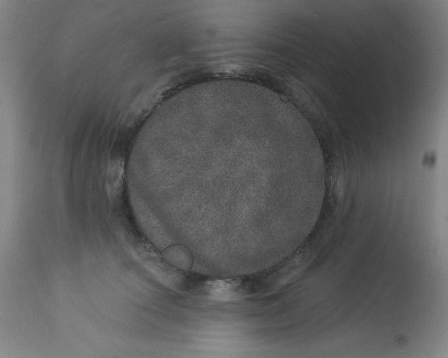 X0000113630660200910091557