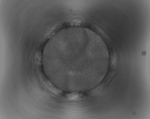 X0000113630661200910091557