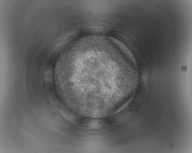 X0000113630663200910091557