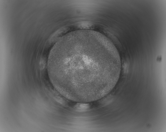 X0000113630665200910091557