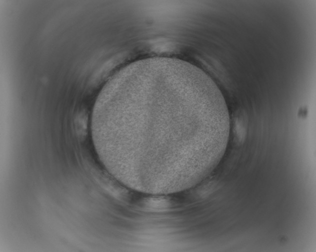 X0000113630668200910091557