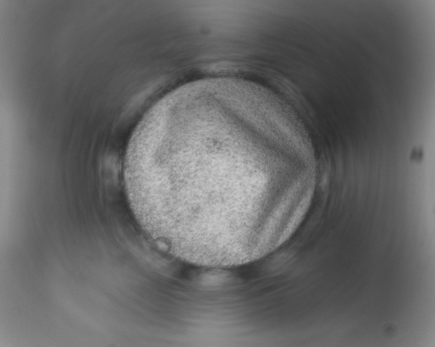 X0000113630669200910091557