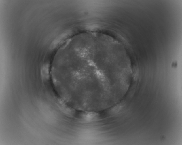 X0000113630670200910091557