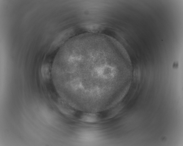 X0000113630671200910091557