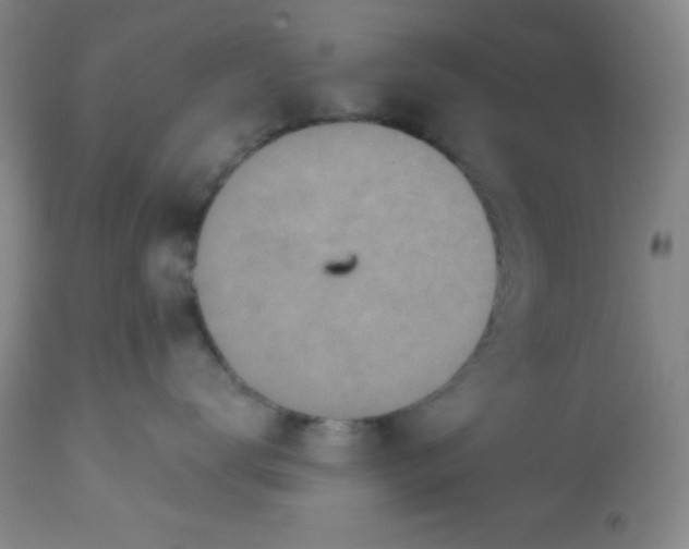 X0000113630672200910091557